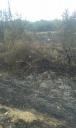 incendio-monte-angiano.jpg